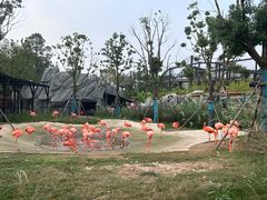 -武汉动物园