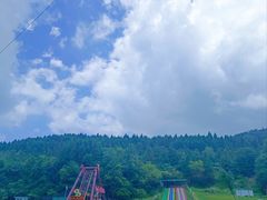 -武陵山森林公园