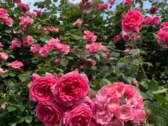 -上海科技馆(地铁站)