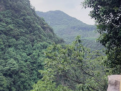 -午潮山国家森林公园