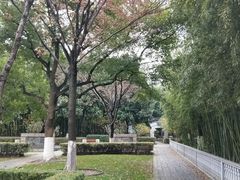 -荆川公园