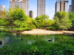 -长白岛森林公园