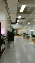 -P.STYLE派斯造型