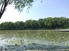 -东华大学(松江校区)