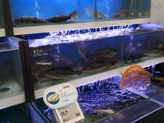 -盒马鲜生(大成店)