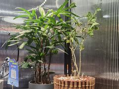 -湖畔鲁菜·二十年老字号餐厅(大明湖店)