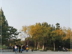-北坞公园