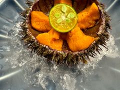 -品海楼·大连海王海肠捞饭·海胆饭(东港店)