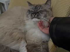 -剧狐剧本杀·月球探案馆(人民广场1号店)
