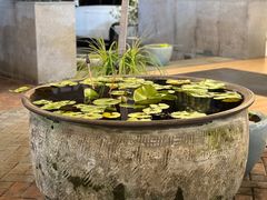 -813芭依珊 BAESAn(皇冠十畝地店)
