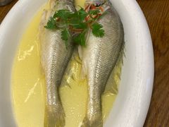 鸡汁黄鱼-必点海鲜·鲅鱼水饺(鞍山西道店)