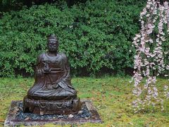 -醍醐寺