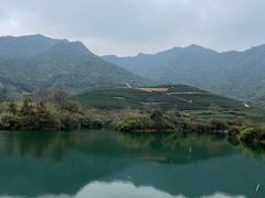 -龙坞茶村
