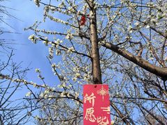 -春风习习