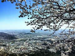 -香山公园