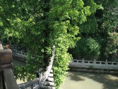-汇龙潭