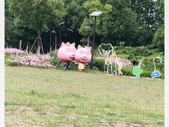 -田园东方蜜桃村的田野营地