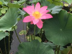 -郭守敬纪念馆