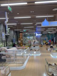 -小象动悟公园(龙湖亦庄天街店)
