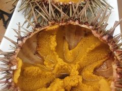 生海胆-海胆小馆(东北水饺·春柳店)