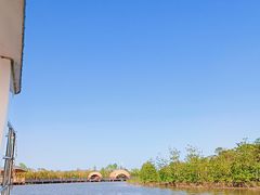 -东寨港红树林旅游区