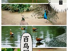 -森林公园(尖草坪区)