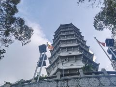 -深圳国际园林花卉博览园