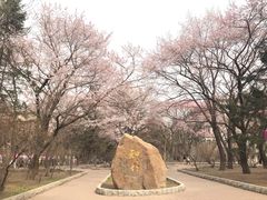 -吉林大学(南岭校区)