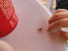 -天津东疆湾沙滩景区
