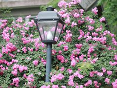 -颐和路民国时期公馆-风貌区