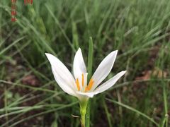 -福田红树林生态公园