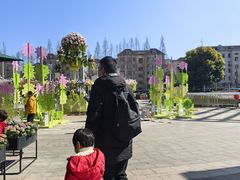 -乌村