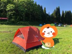 -武陵山森林公园