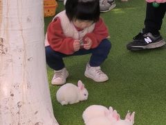-盈香心动乐园