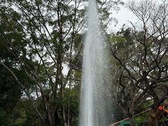 -九龙公园