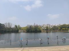 -新江湾城公园