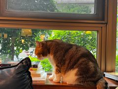 -咖法森林·咖啡  酒吧(天河店)