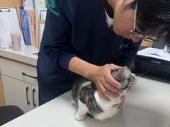 -瑞派长江宠物医院·猫科·外科·24小时夜护(谊城公寓分院)