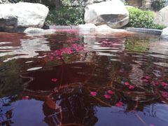 -七彩云南古滇温泉山庄