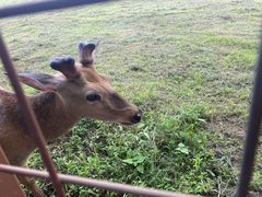 -良渚古城遗址公园