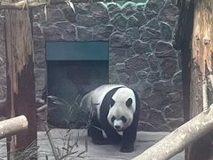 -黔灵山公园