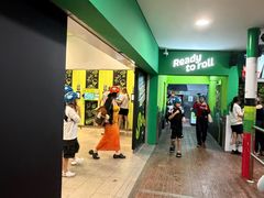 -圣淘沙天际线斜坡滑车