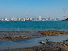 景点-海沧湾公园