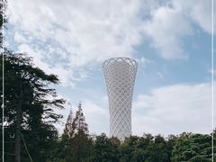 -上海滨江森林公园