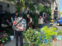 -溪岸路花鸟市场