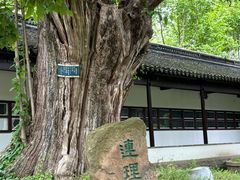 -苏州文庙(姑苏区)