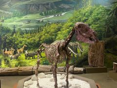 -陕西自然博物馆