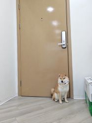 -HEYAN荷妍专业脱毛连锁机构
