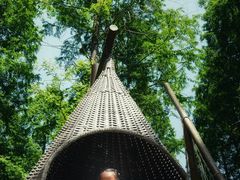 -黄海国家森林公园