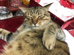 -么凤(波斯富街店)